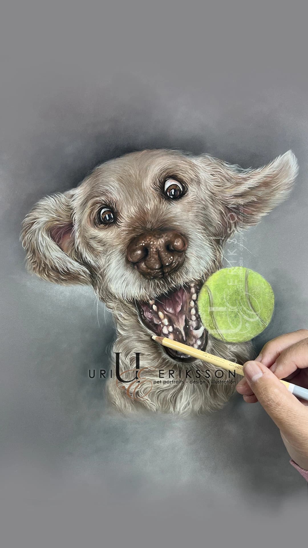 Pet Portraits - Caste Dog