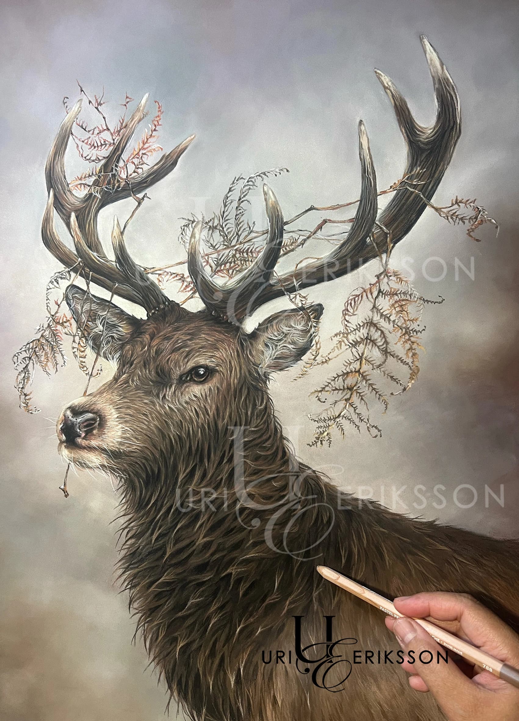 Pet Portraits - Kronhjort