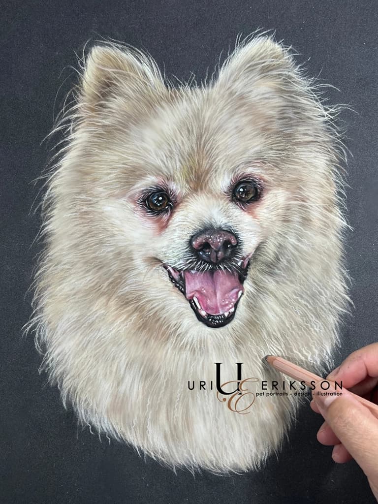 Pet Portraits - Lady