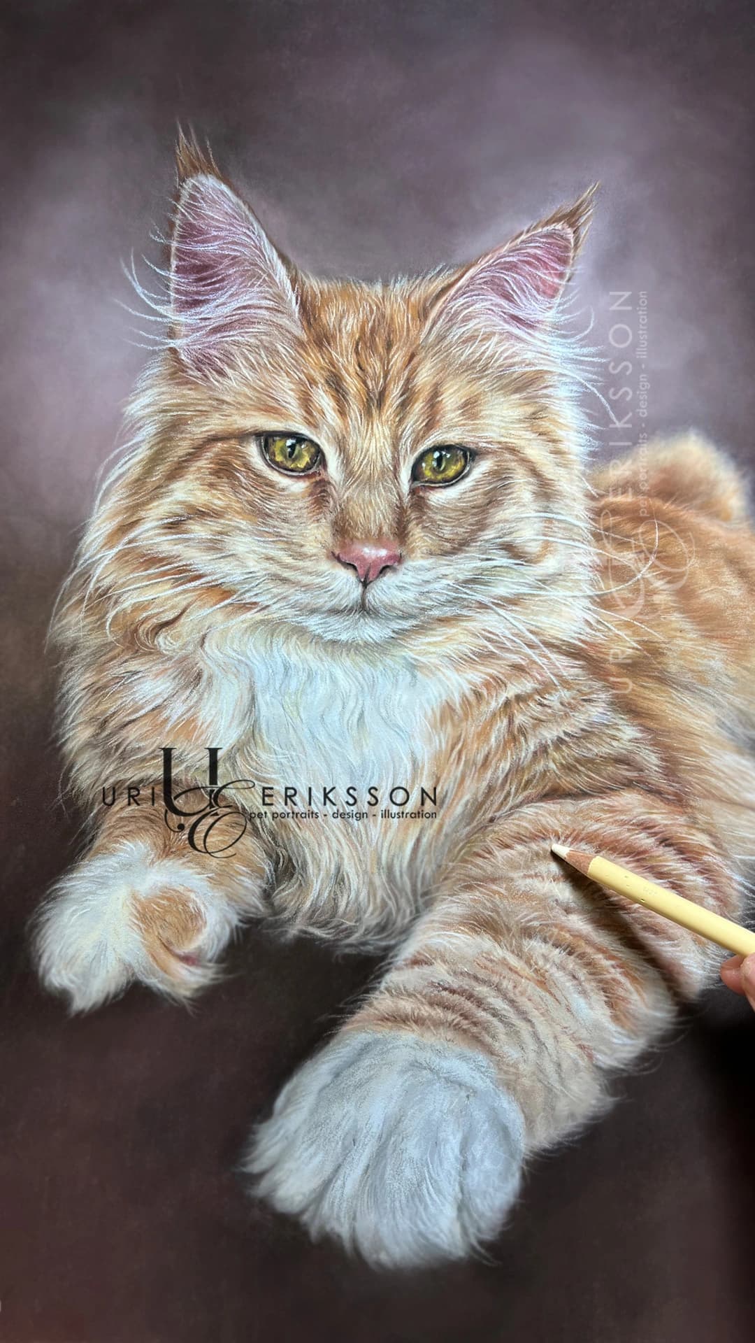 Pet Portraits - Tintin