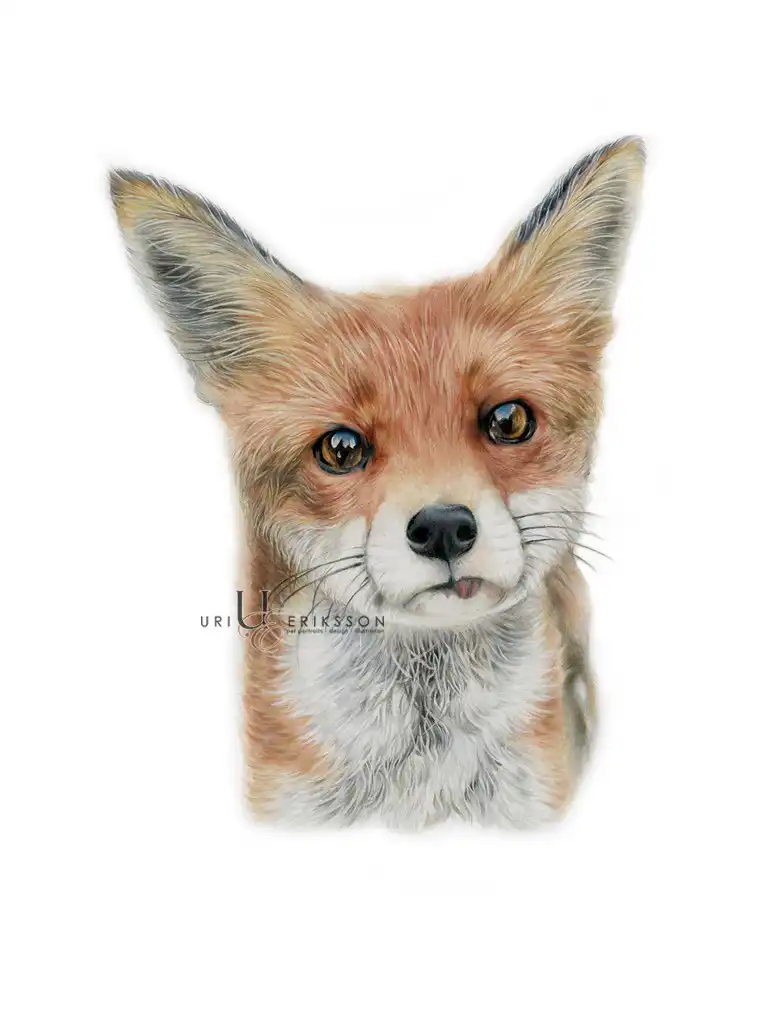 Pet Portraits - Godis